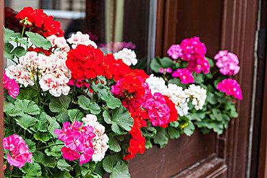 《真三国无双：起源》媒体评分解禁 IGN 9分